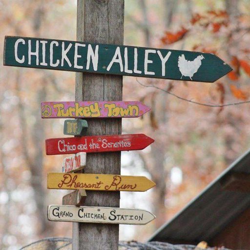 Chicken Alley Farm