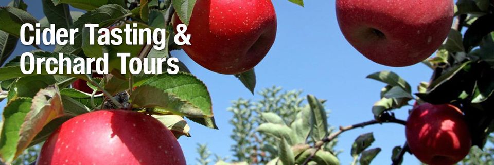Cider Tasting And Orchard Tours