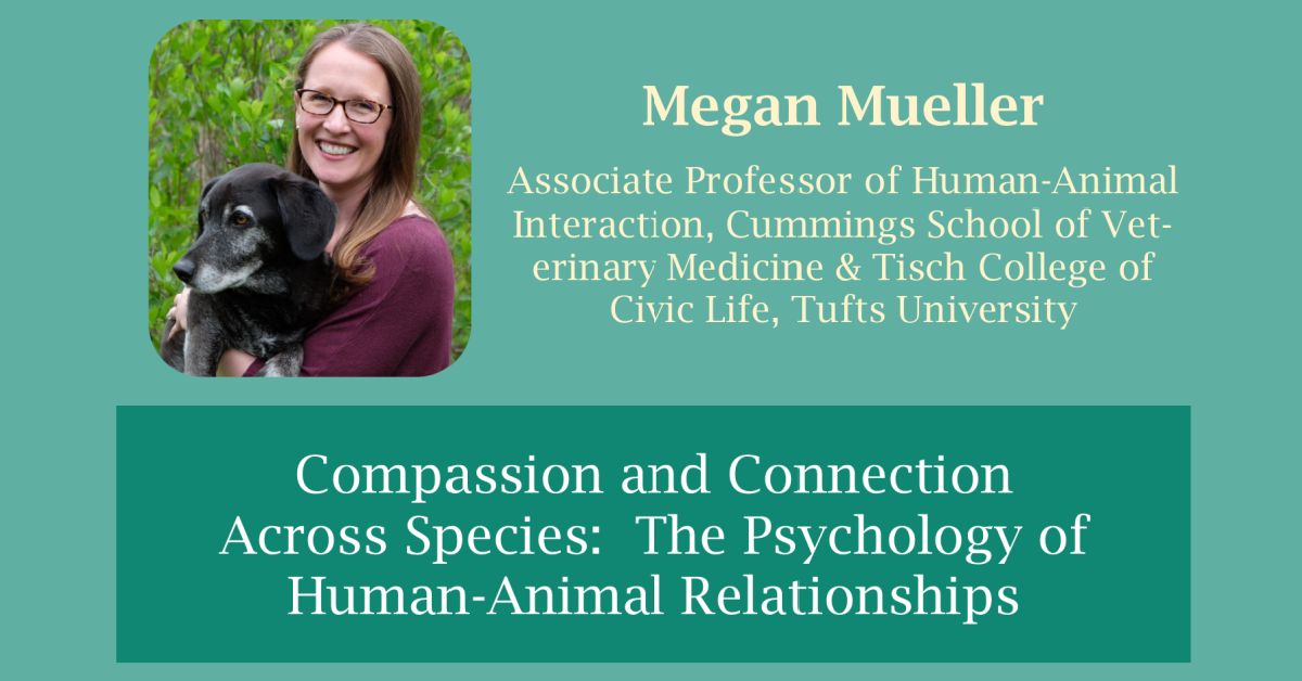 Compassion And Connection Across Species: The Psychology Of Human-animal Relationships