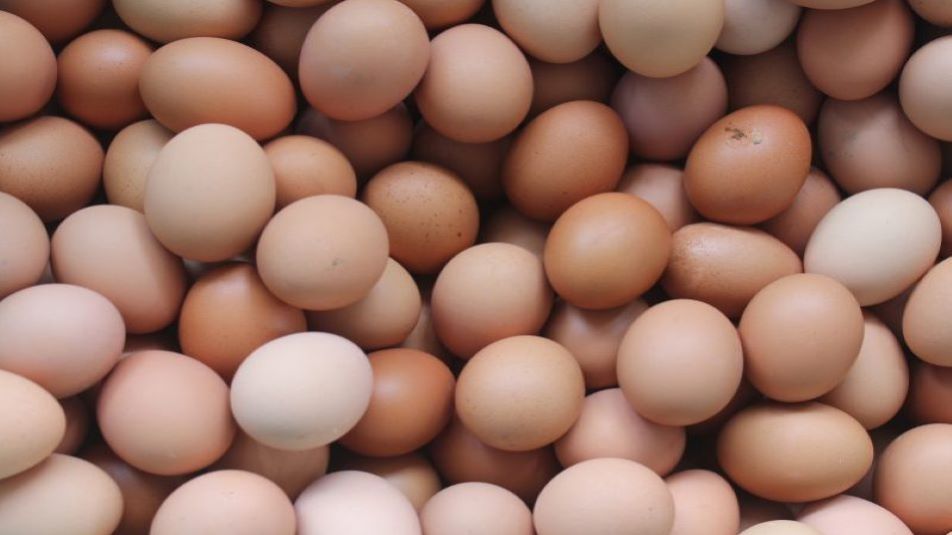 TLH Farms Produce and Eggs