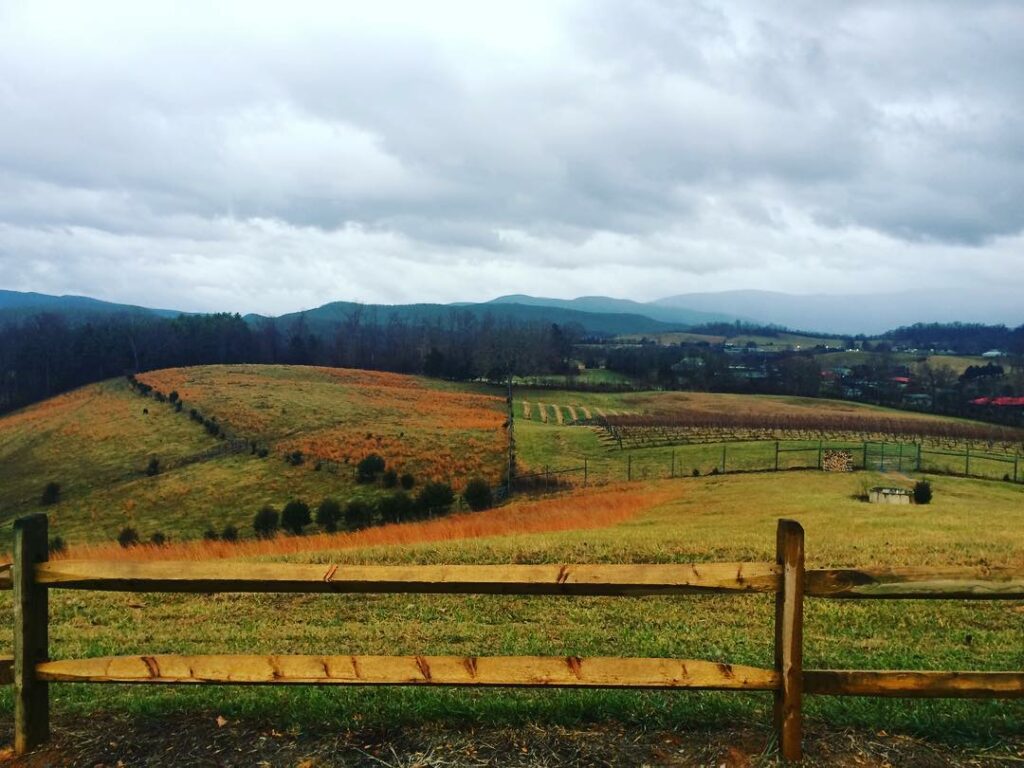 Great Valley Farm View