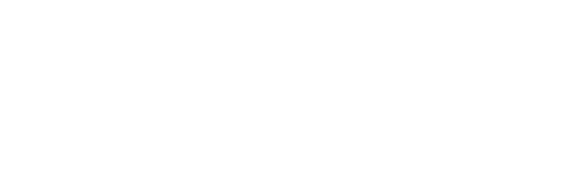 SV Logo